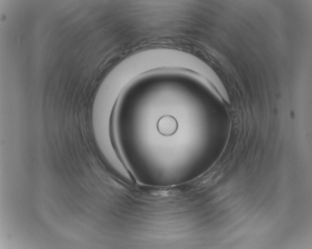 X0000071950558200607282011