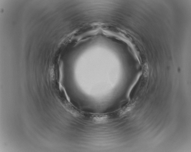 X0000071950560200607282011