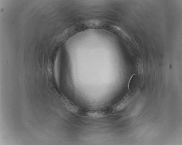 X0000071950561200607282011