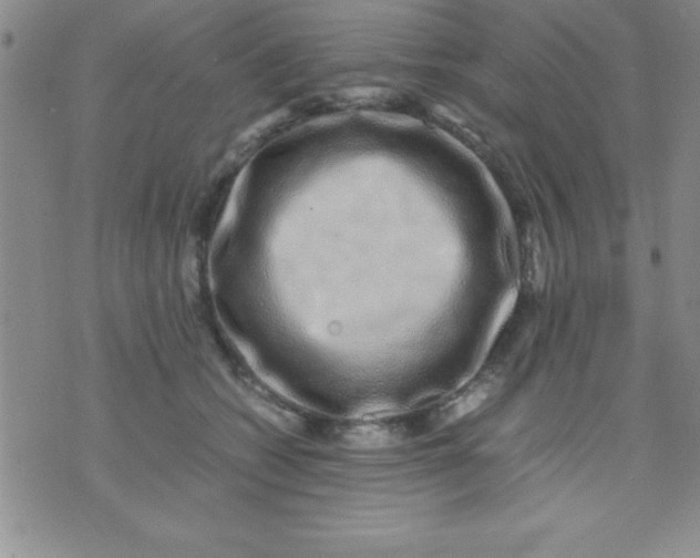 X0000071950562200607282011