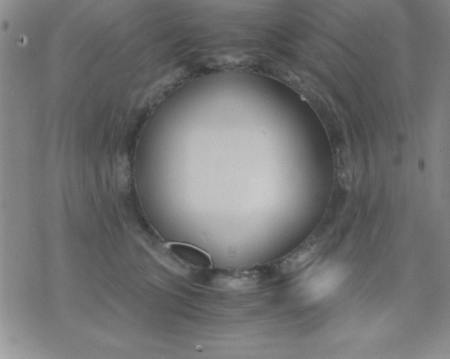 X0000071950563200607282011