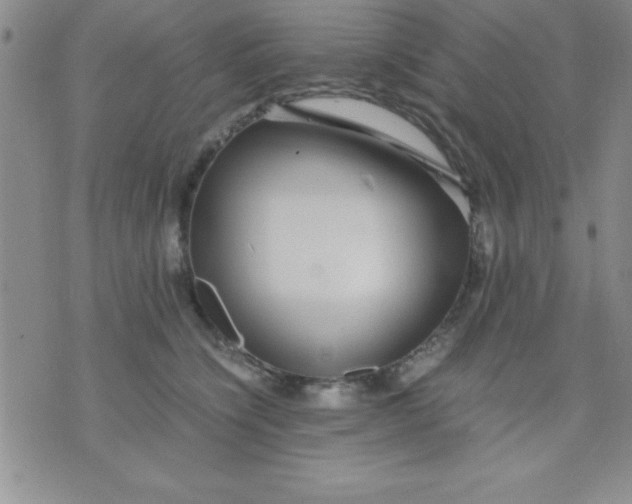 X0000071950564200607282011