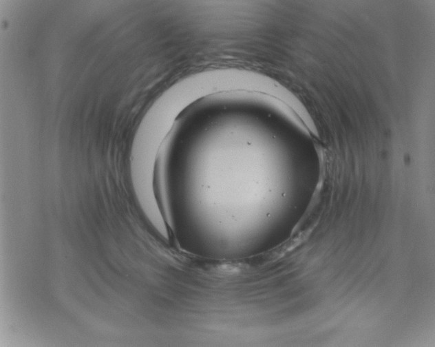 X0000071950566200607282011