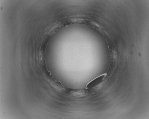 X0000071950567200607282011