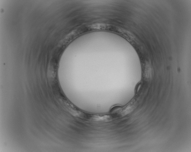 X0000071950569200607282011