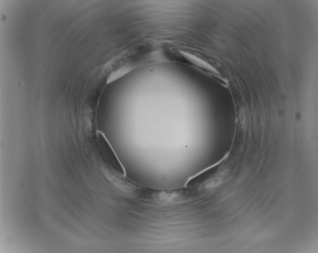 X0000071950570200607282011