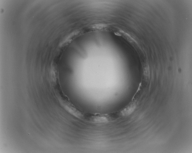 X0000071950572200607282011