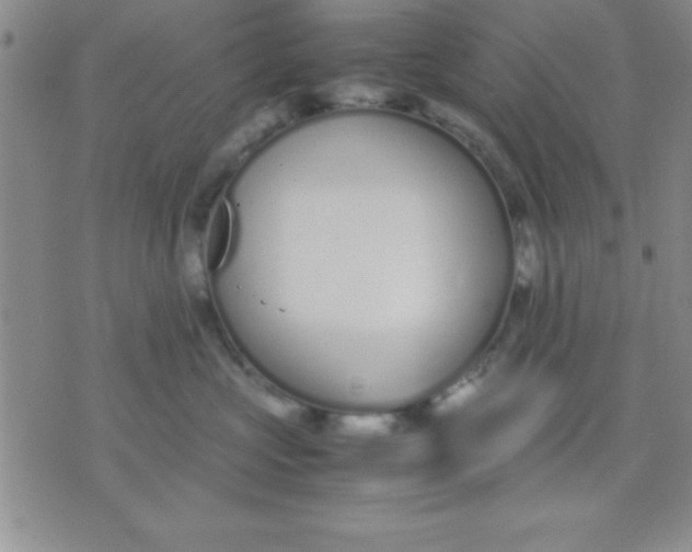 X0000071950573200607282011