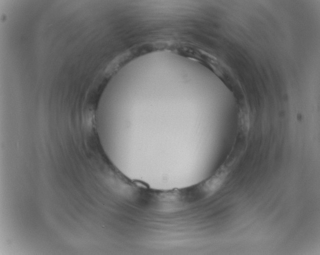 X0000071950574200607282011