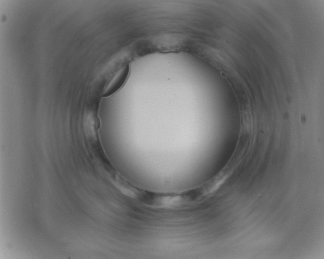 X0000071950575200607282011