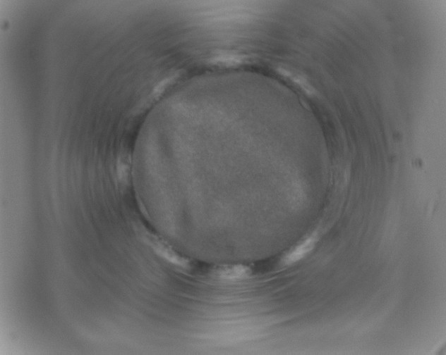 X0000071950576200607282011