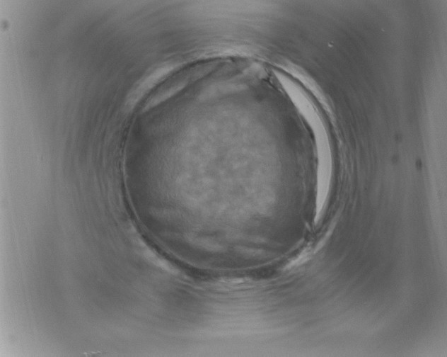 X0000071950577200607282010