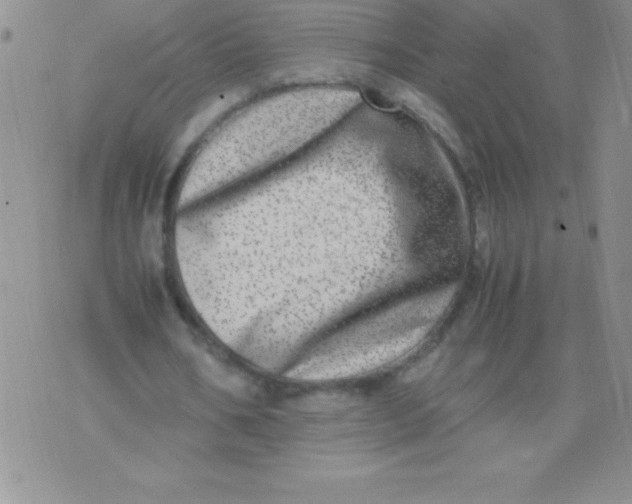 X0000071950578200607282010