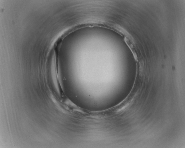 X0000071950580200607282010