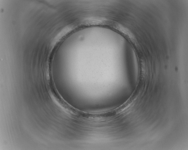 X0000071950582200607282010