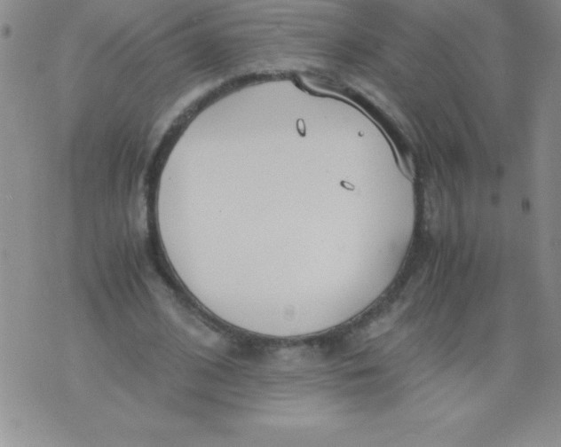 X0000071950584200607282010