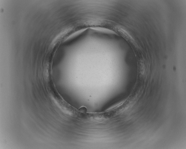 X0000071950586200607282010