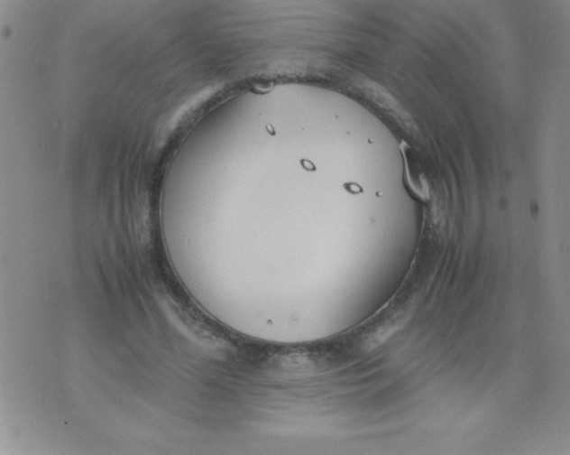 X0000071950588200607282010