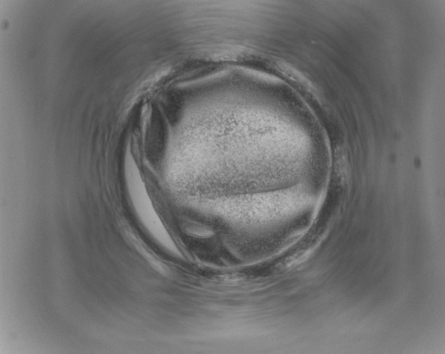 X0000071950589200607282010