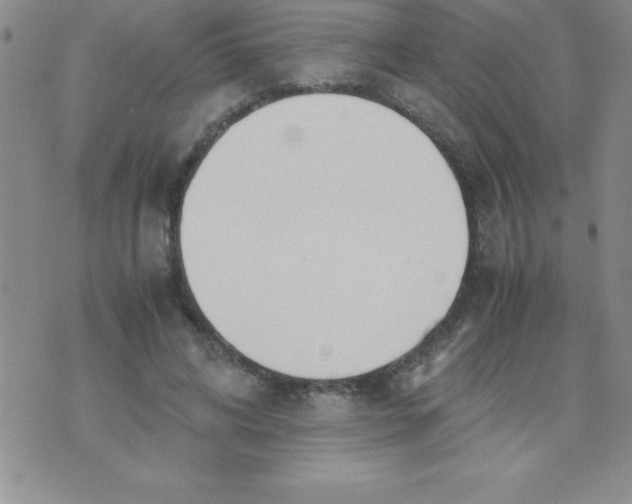 X0000071950592200607282010