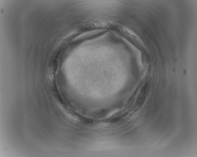 X0000071950593200607282010