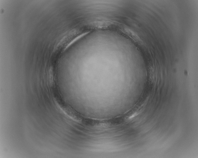 X0000071950594200607282010