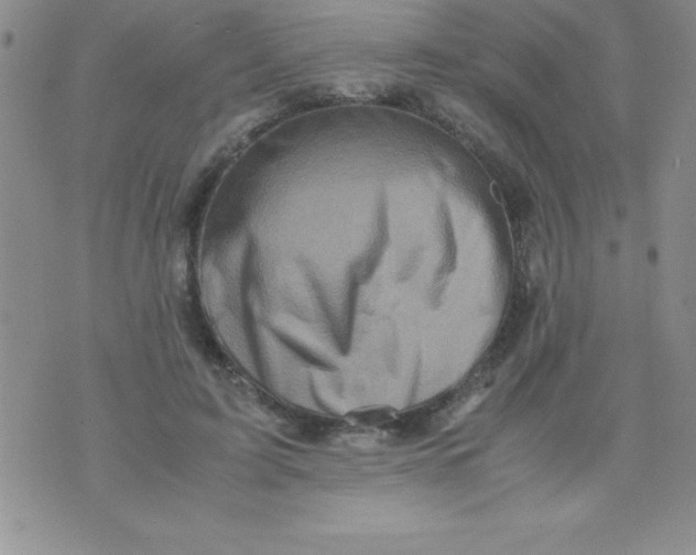 X0000071950595200607282010