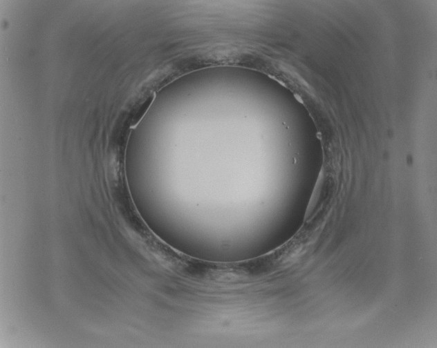 X0000071950597200607282010