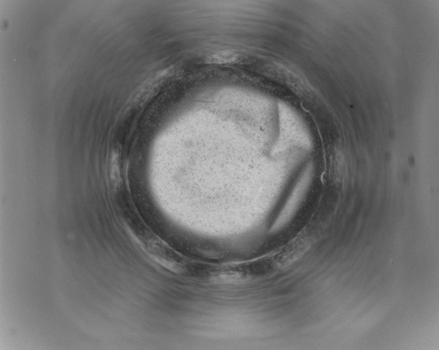 X0000071950598200607282010