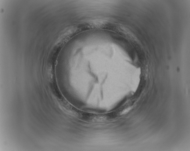 X0000071950599200607282010