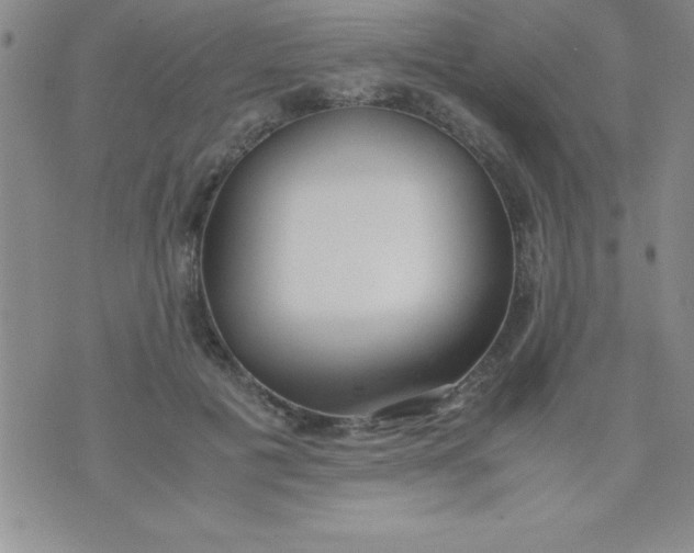 X0000071950601200607282010