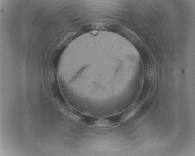 X0000071950603200607282010