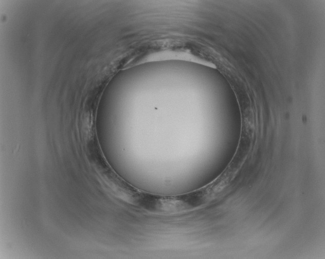 X0000071950605200607282010