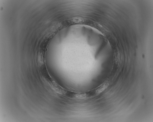 X0000071950606200607282010