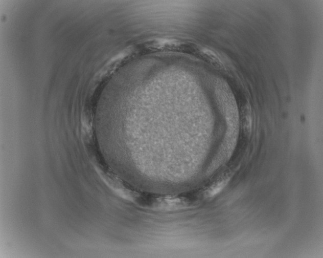 X0000071950607200607282010