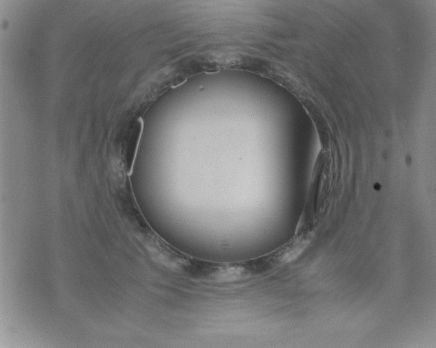 X0000071950609200607282010