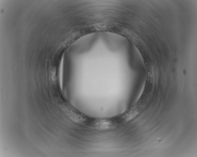 X0000071950610200607282010