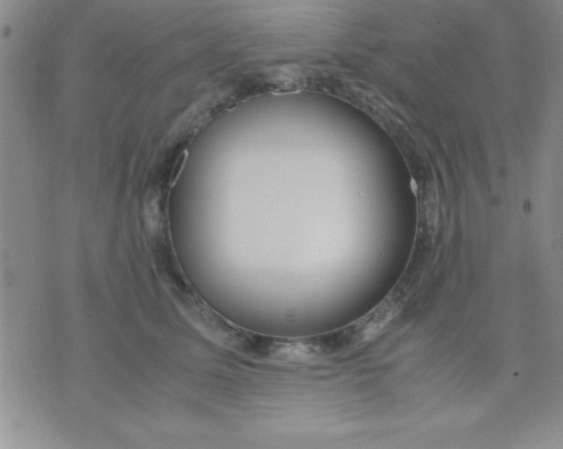 X0000071950611200607282010