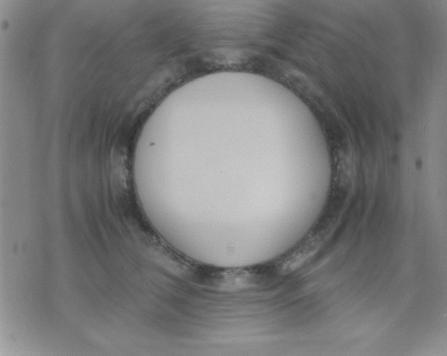 X0000071950612200607282010