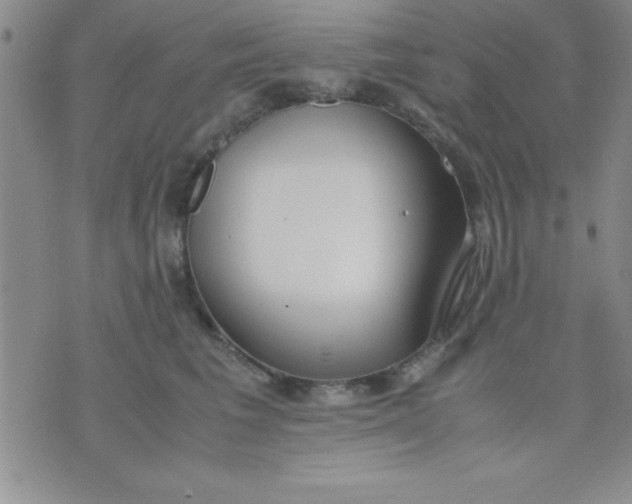 X0000071950613200607282010