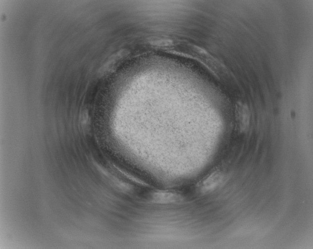 X0000071950614200607282010