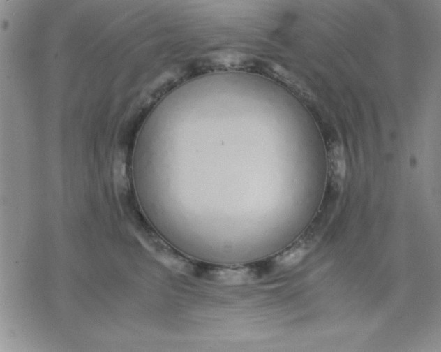 X0000071950615200607282010