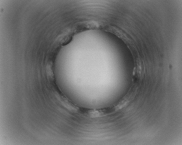 X0000071950616200607282010