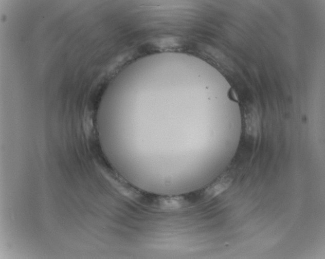 X0000071950618200607282010