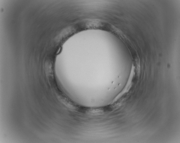 X0000071950619200607282010