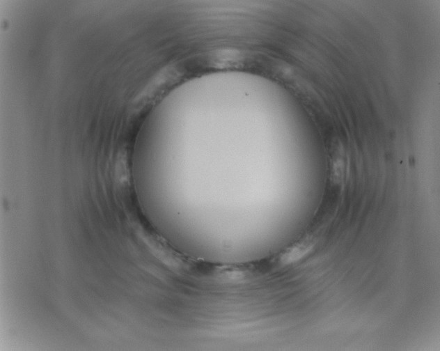 X0000071950620200607282010