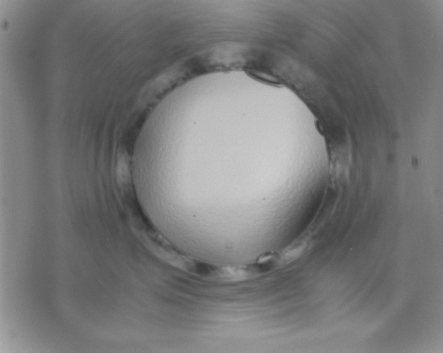 X0000071950623200607282010