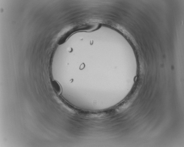 X0000071950625200607282009