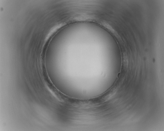 X0000071950626200607282009