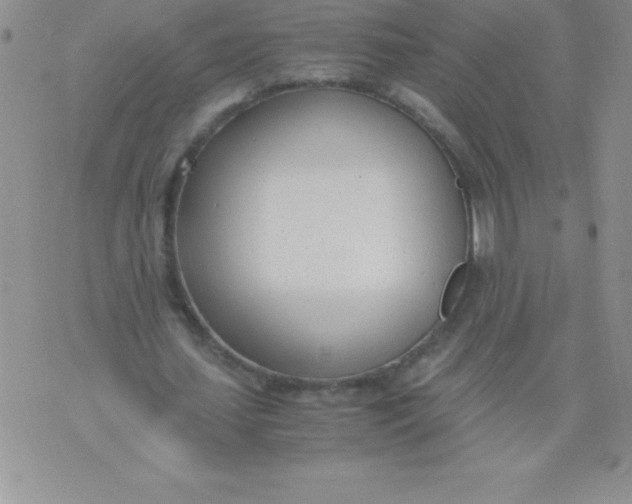 X0000071950627200607282009